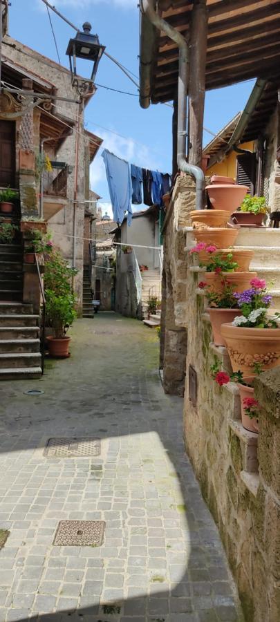La Chascona Di Farnese Casa Di Tufo Nel Borgo Lejlighed Eksteriør billede