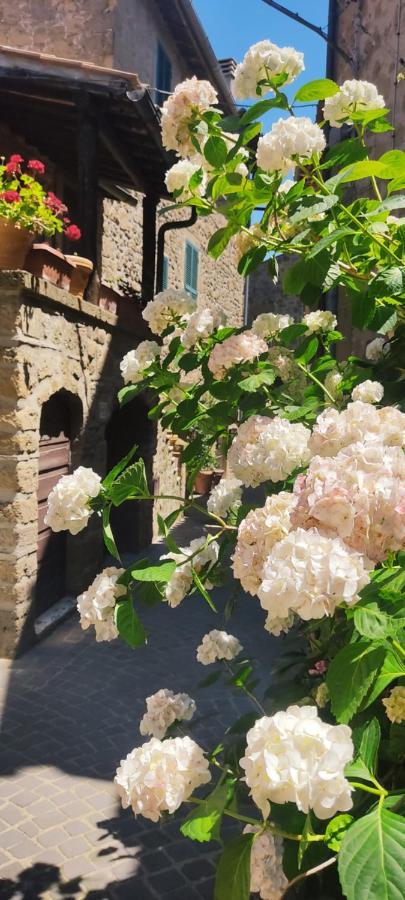 La Chascona Di Farnese Casa Di Tufo Nel Borgo Lejlighed Eksteriør billede