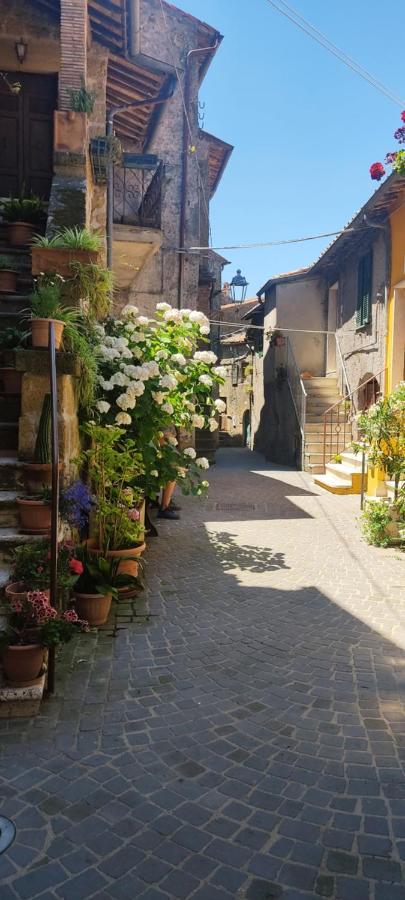 La Chascona Di Farnese Casa Di Tufo Nel Borgo Lejlighed Eksteriør billede